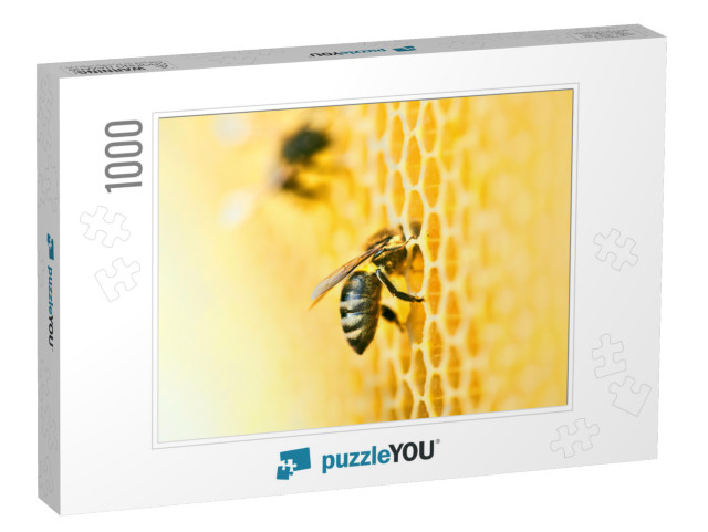 Macro Photo of a Bee Hive on a Honeycomb with Copy Space... Jigsaw Puzzle with 1000 pieces