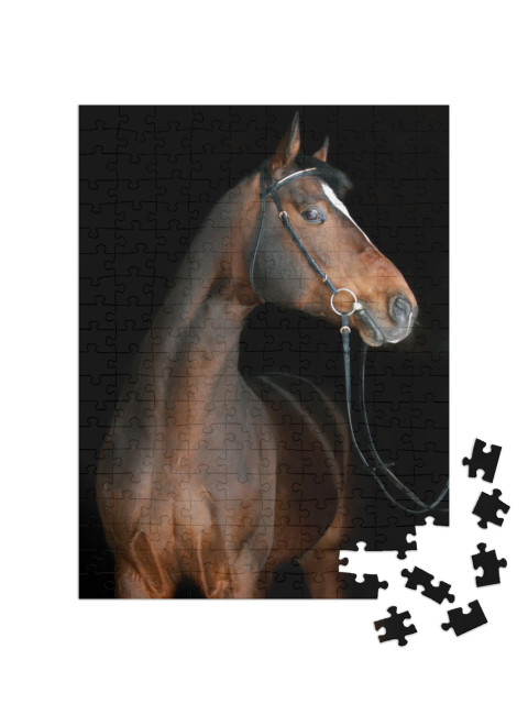 Bay Horse on Black... Jigsaw Puzzle with 200 pieces