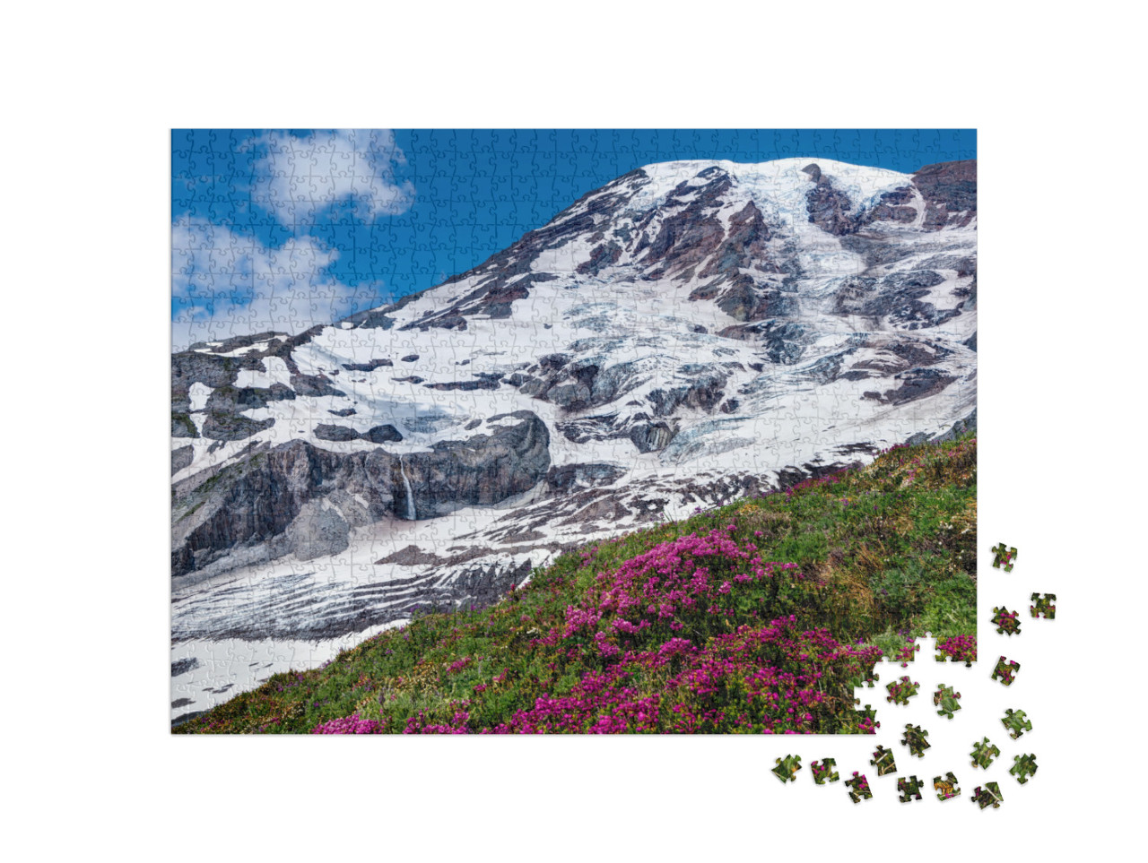 Skyline Trail, Mount Rainier. Mount Rainier National Park... Jigsaw Puzzle with 1000 pieces