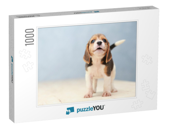 Small Cute Beagle Puppy Dog Looking Up... Jigsaw Puzzle with 1000 pieces