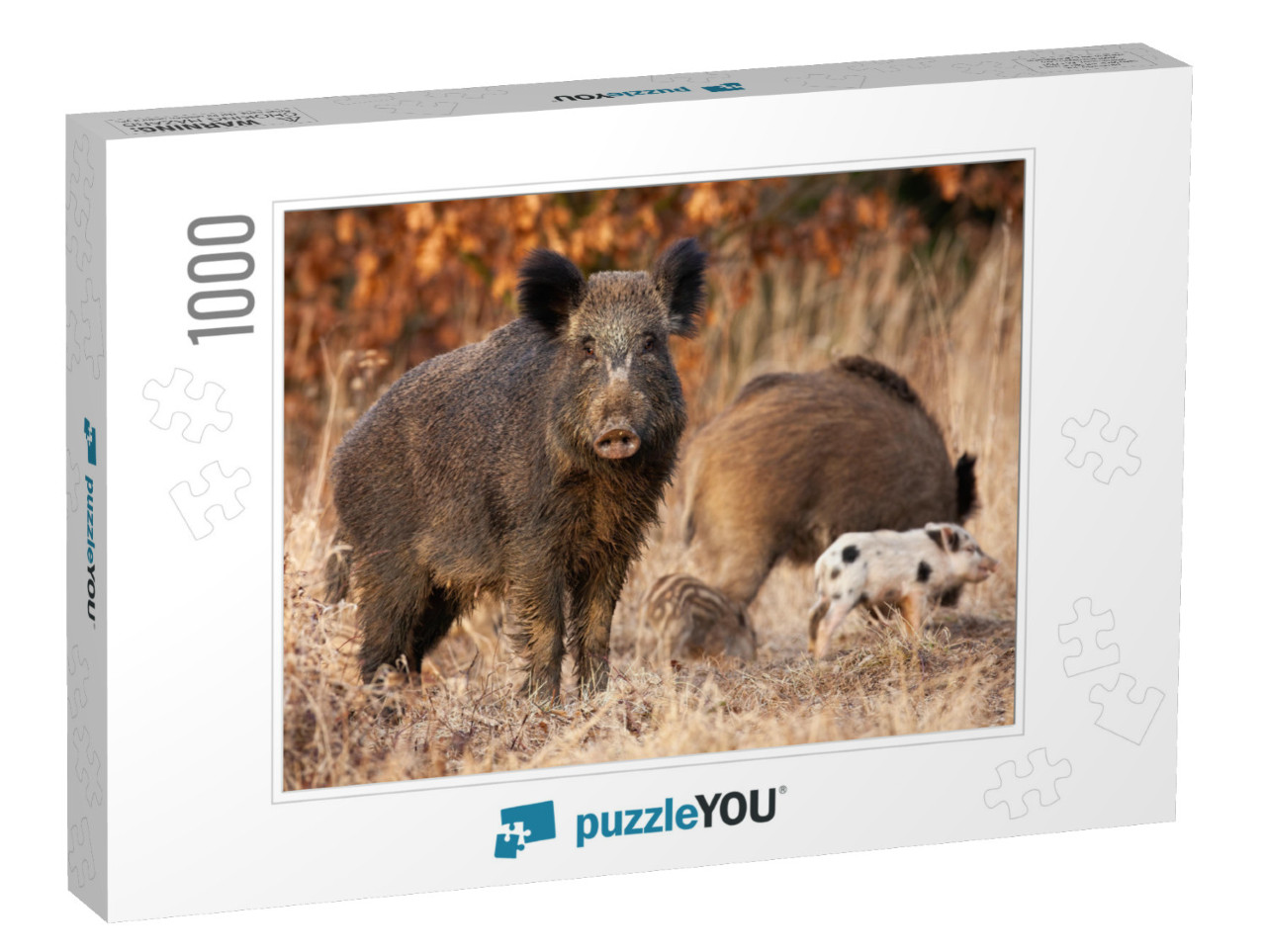 Dangerous Wild Boar, Sus Scrofa, Protecting It Young Stri... Jigsaw Puzzle with 1000 pieces