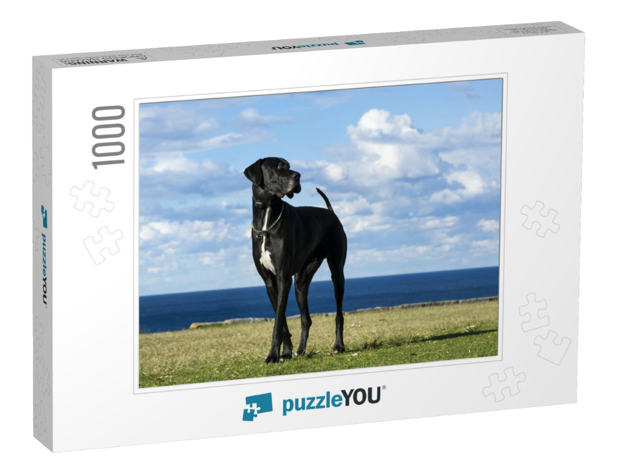 Great Dane by the Sea... Jigsaw Puzzle with 1000 pieces