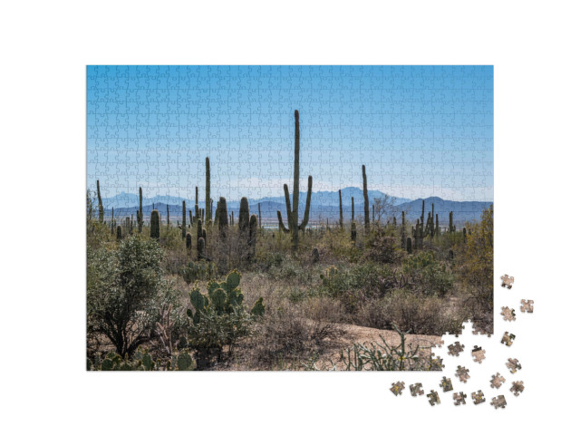 A Long Slender Saguaro Cactus in Saguaro National Park, A... Jigsaw Puzzle with 1000 pieces