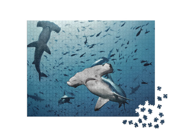 Hammerhead Shark, Cocos Island, Costa Rica/Close Contact... Jigsaw Puzzle with 1000 pieces