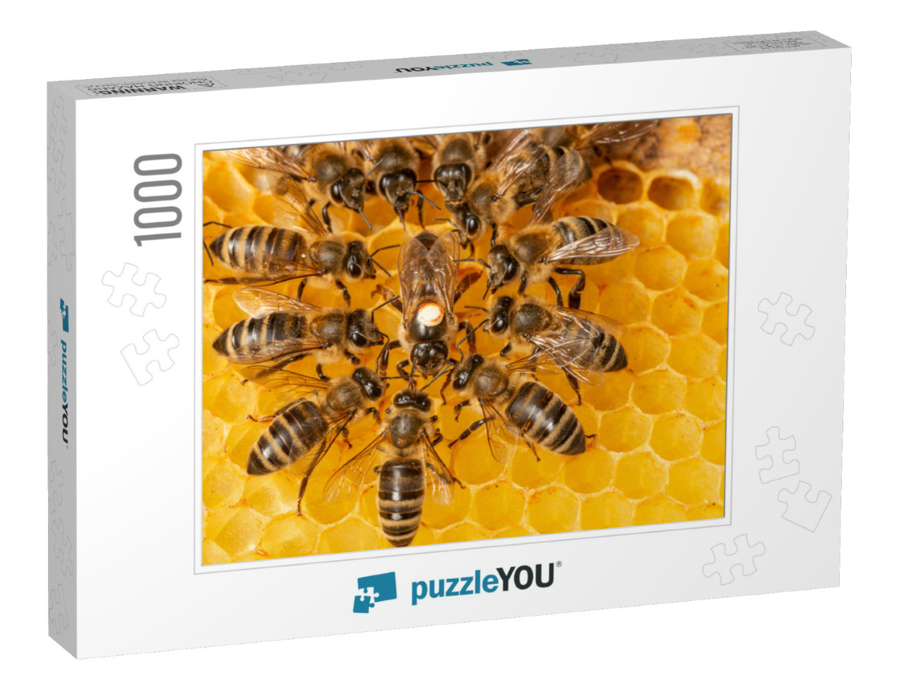 The Queen Apis Mellifera Marked with Dot & Bee Workers Ar... Jigsaw Puzzle with 1000 pieces