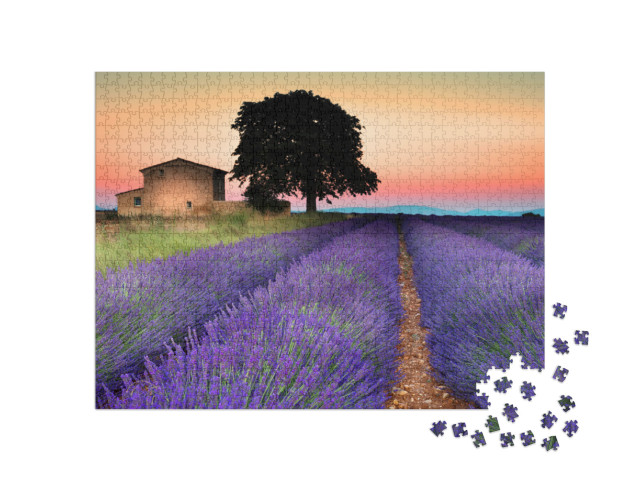 Summer Sunset in Valensole. Provence, France... Jigsaw Puzzle with 1000 pieces