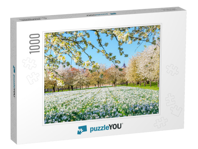 Sakura Cherry White Blossoms. Wonderful Scenic Park with... Jigsaw Puzzle with 1000 pieces