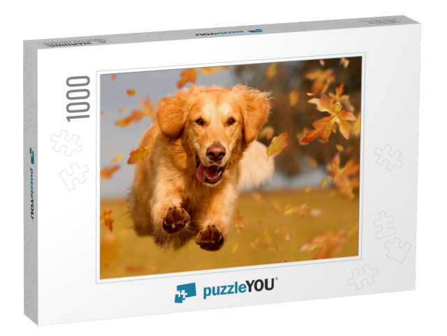 Dog, Golden Retriever Jumping Through Autumn Leaves in Au... Jigsaw Puzzle with 1000 pieces