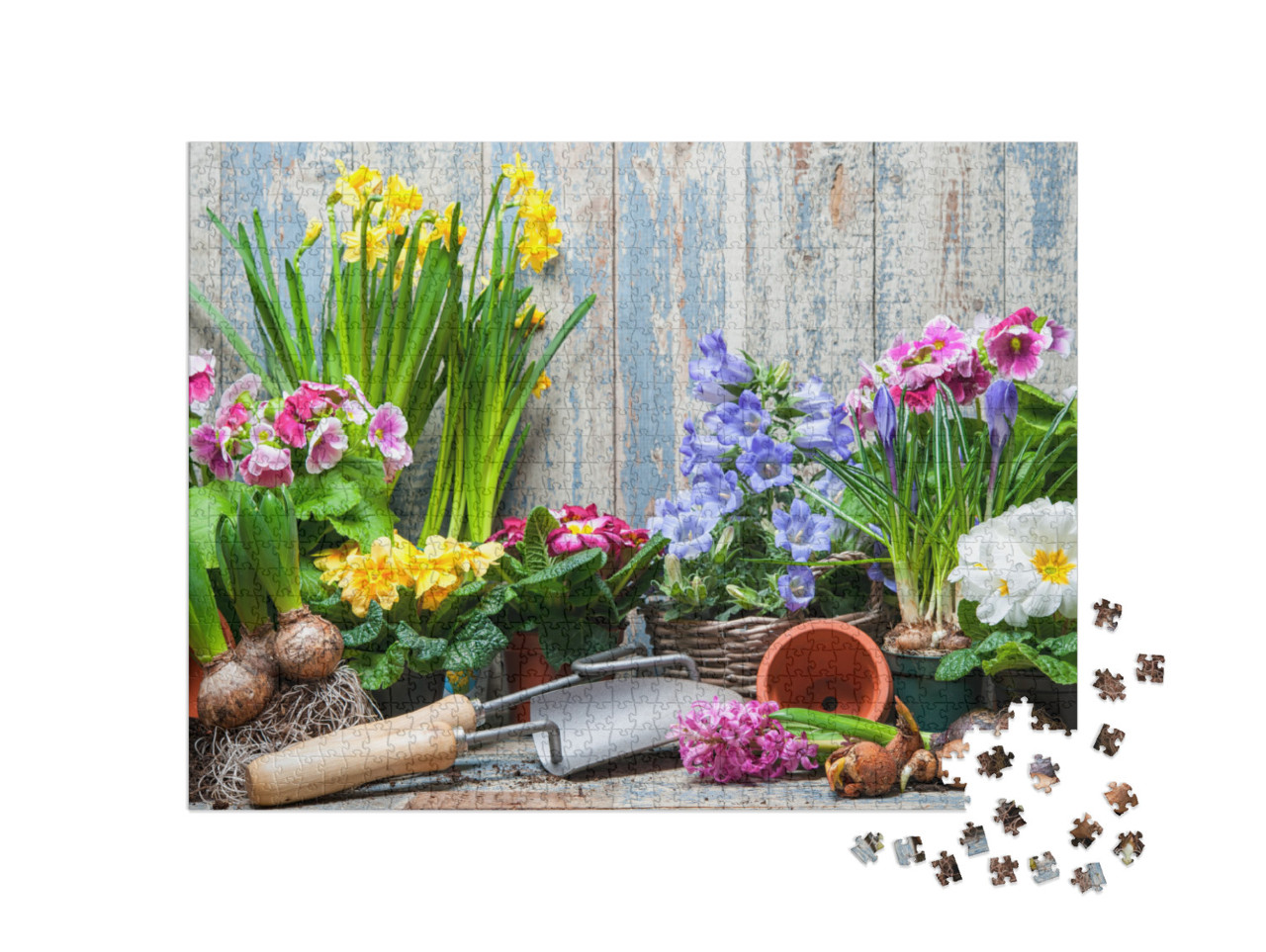 Gardener Planting Spring Flower... Jigsaw Puzzle with 1000 pieces