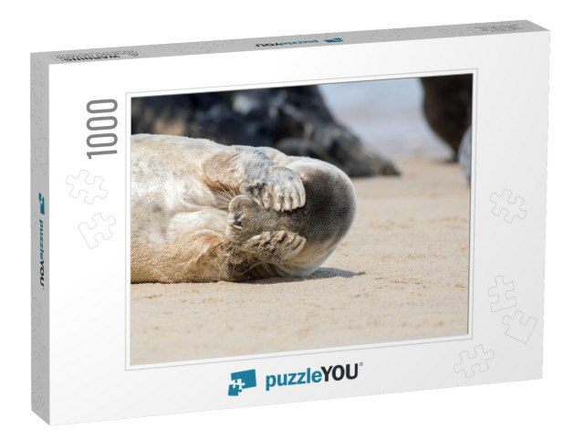 Peekaboo. Cute Seal Covering Its Eyes. Funny Animal Meme... Jigsaw Puzzle with 1000 pieces