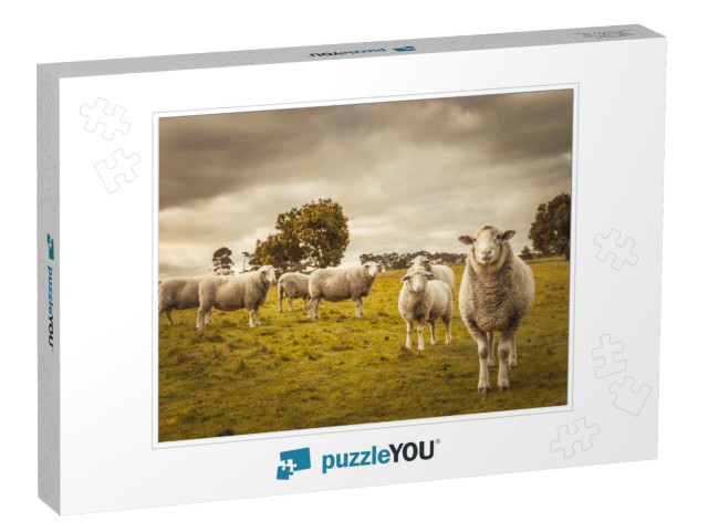 Australian Countryside Rural Autumn Landscape. Group of S... Jigsaw Puzzle