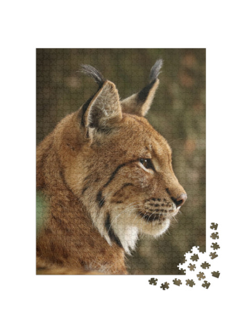 Profile of Eurasian Lynx Lynx Lynx. Closeup of Bobcat Hea... Jigsaw Puzzle with 1000 pieces