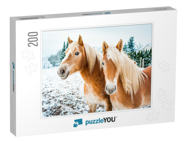 Haflinger Horses, Horse Couple Standing in Snow on a Cold... Jigsaw Puzzle with 200 pieces