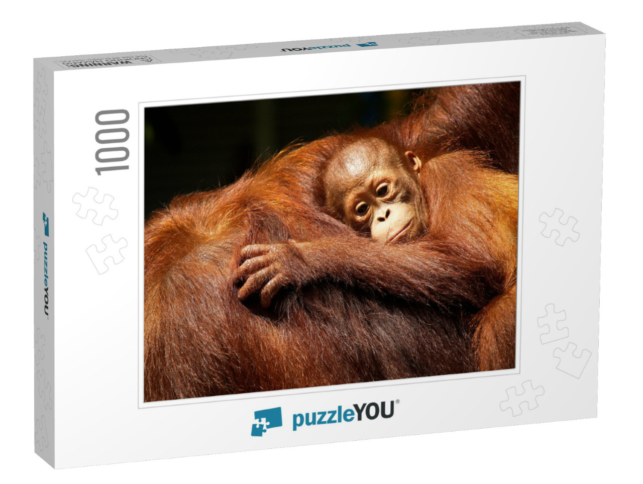 Female Orangutan & Her Baby in the Rainforest... Jigsaw Puzzle with 1000 pieces