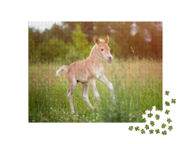 Beautiful Haflinger Foal - Horse Photo... Jigsaw Puzzle with 1000 pieces