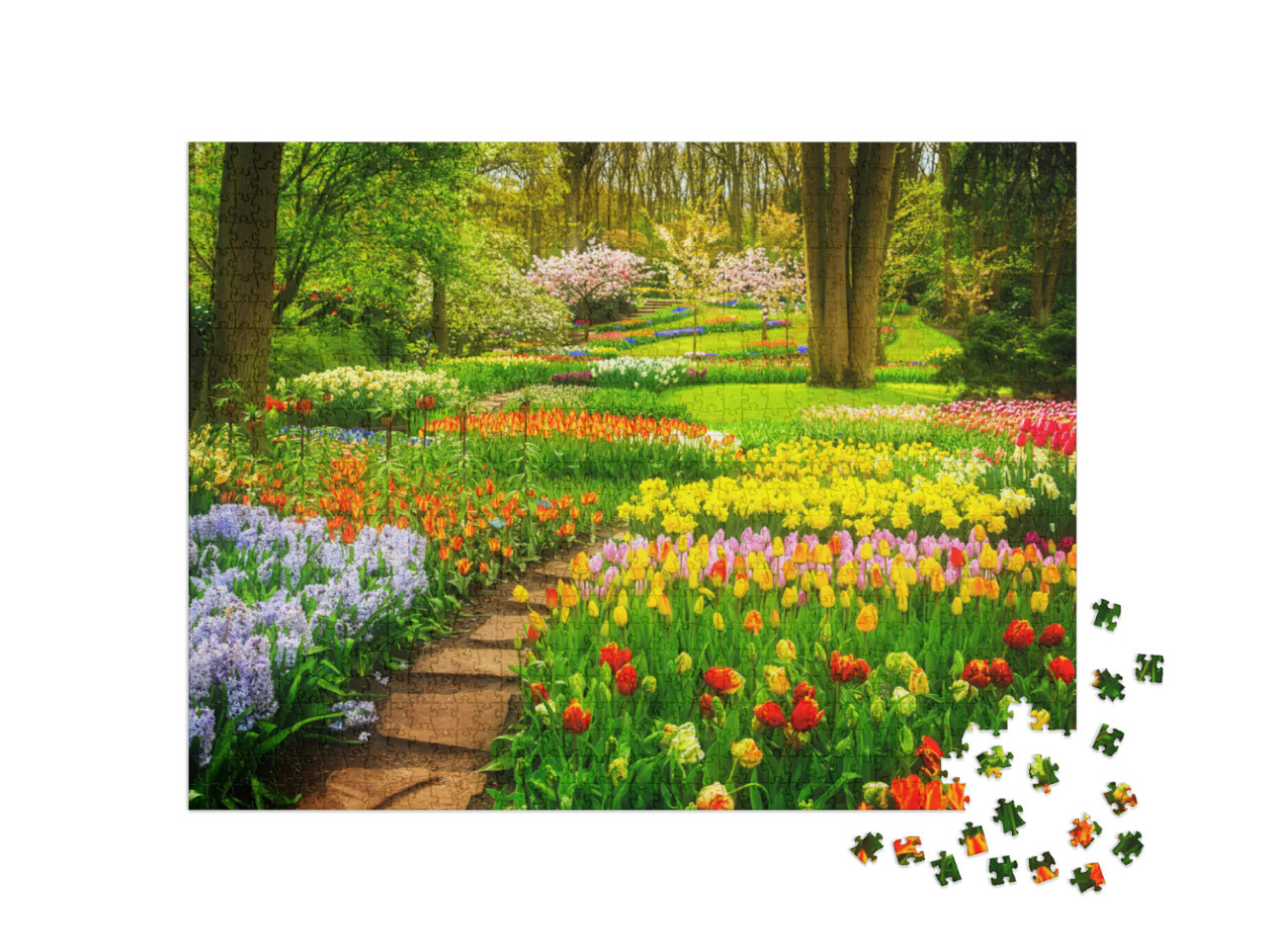 Colorful Tulips Flowerbeds & Stone Path in an Spring Form... Jigsaw Puzzle with 1000 pieces