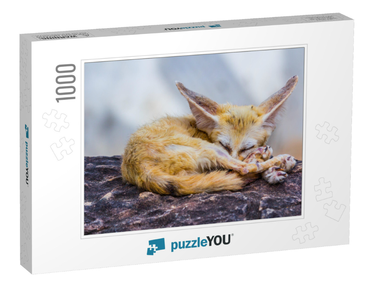 Small Fennec Fox Sleeping, Nature... Jigsaw Puzzle with 1000 pieces