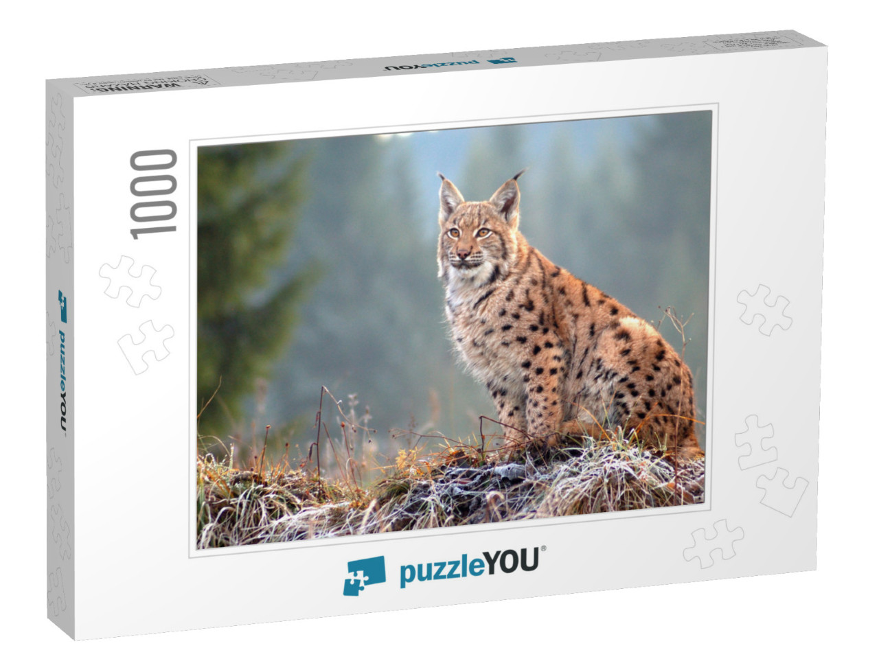 The Eurasian Lynx Lynx Lynx is a Precious Beast of the Sl... Jigsaw Puzzle with 1000 pieces