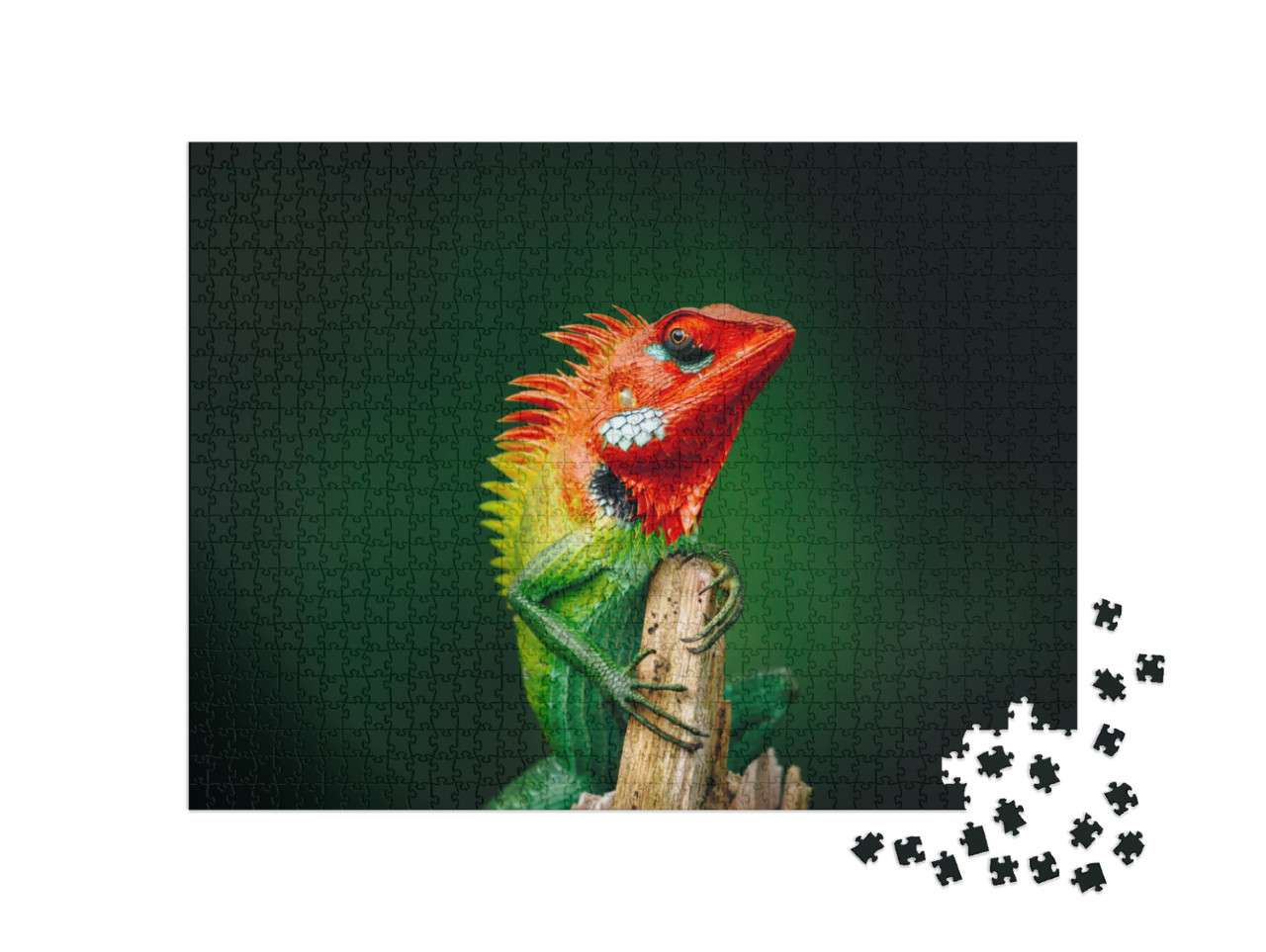 Common Green Forest Lizard Chilling in the Wooden Pole, I... Jigsaw Puzzle with 1000 pieces