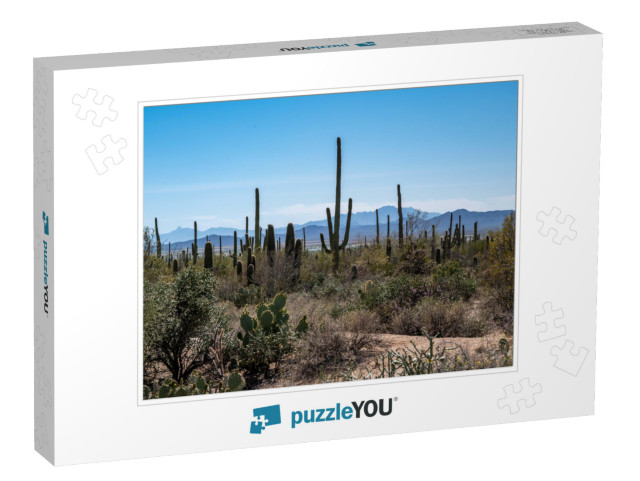 Arizona Desert Landscape with Saguaro Cactus At Sunset... Jigsaw Puzzle