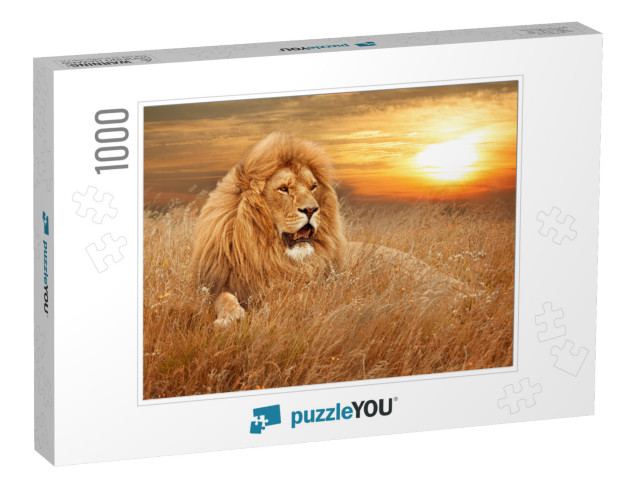 Picture of Lions in Grass... Jigsaw Puzzle with 1000 pieces