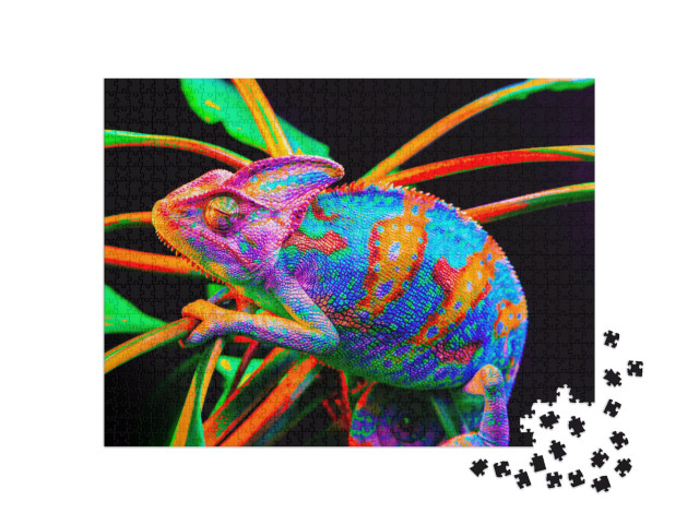 Yemen Chameleon Isolated on Black Large Background. Lizar... Jigsaw Puzzle with 1000 pieces