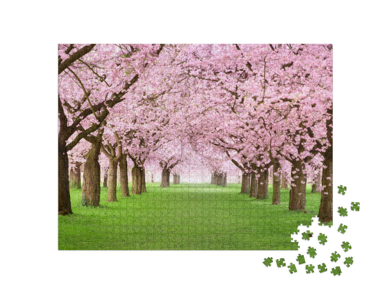 Ornamental Garden with Majestically Blossoming Large Cher... Jigsaw Puzzle with 1000 pieces