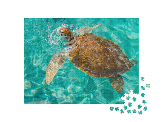 Westpunt Turtle Swimming Views Around the Caribbean Islan... Jigsaw Puzzle with 1000 pieces