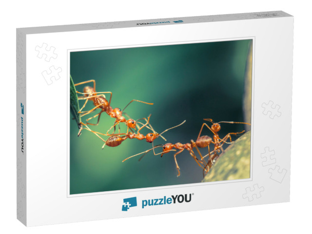 Ant Bridge Unity... Jigsaw Puzzle