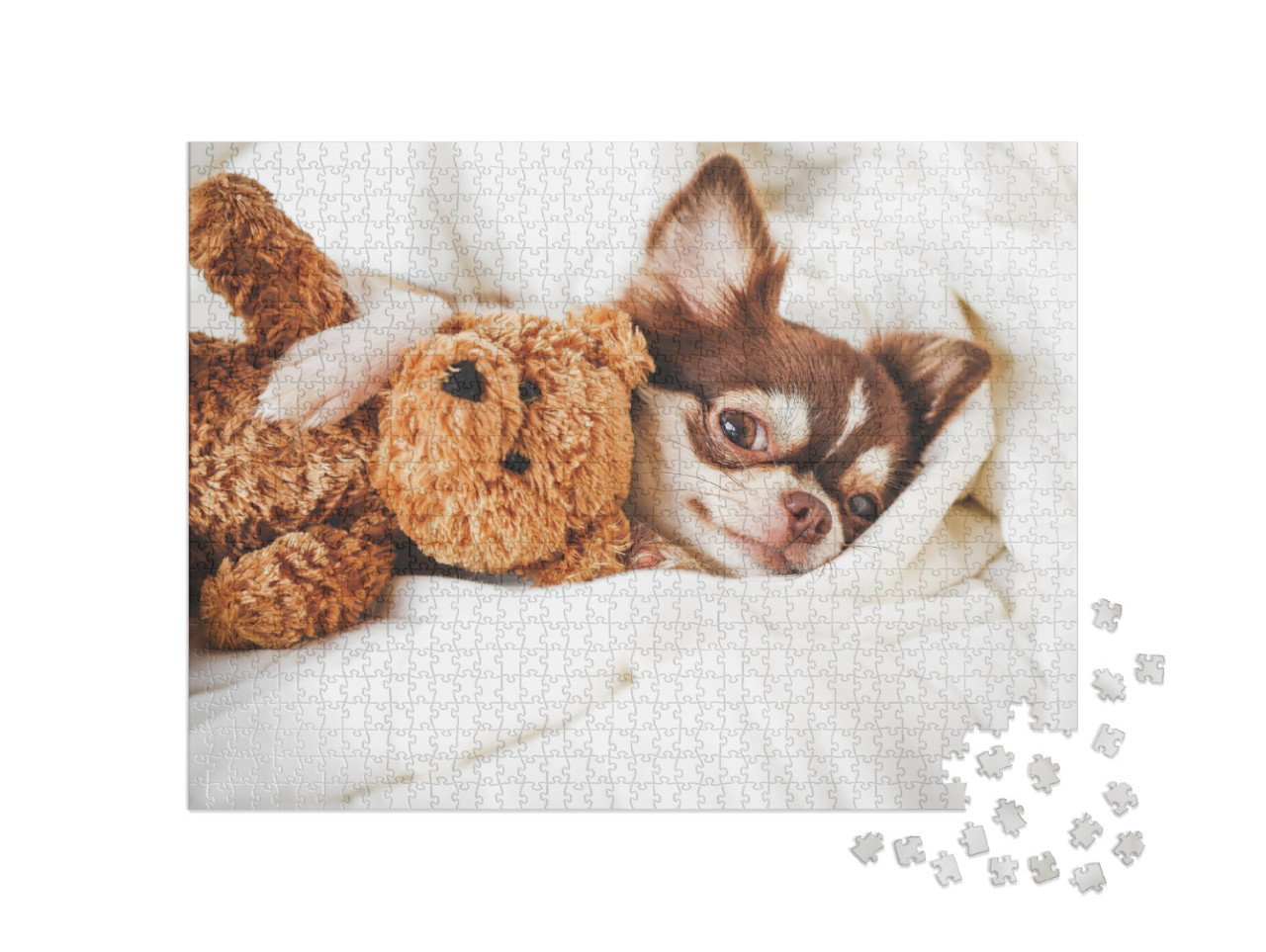 Cute Chihuahua Puppy Sleeping with Teddy Bear on the Whit... Jigsaw Puzzle with 1000 pieces