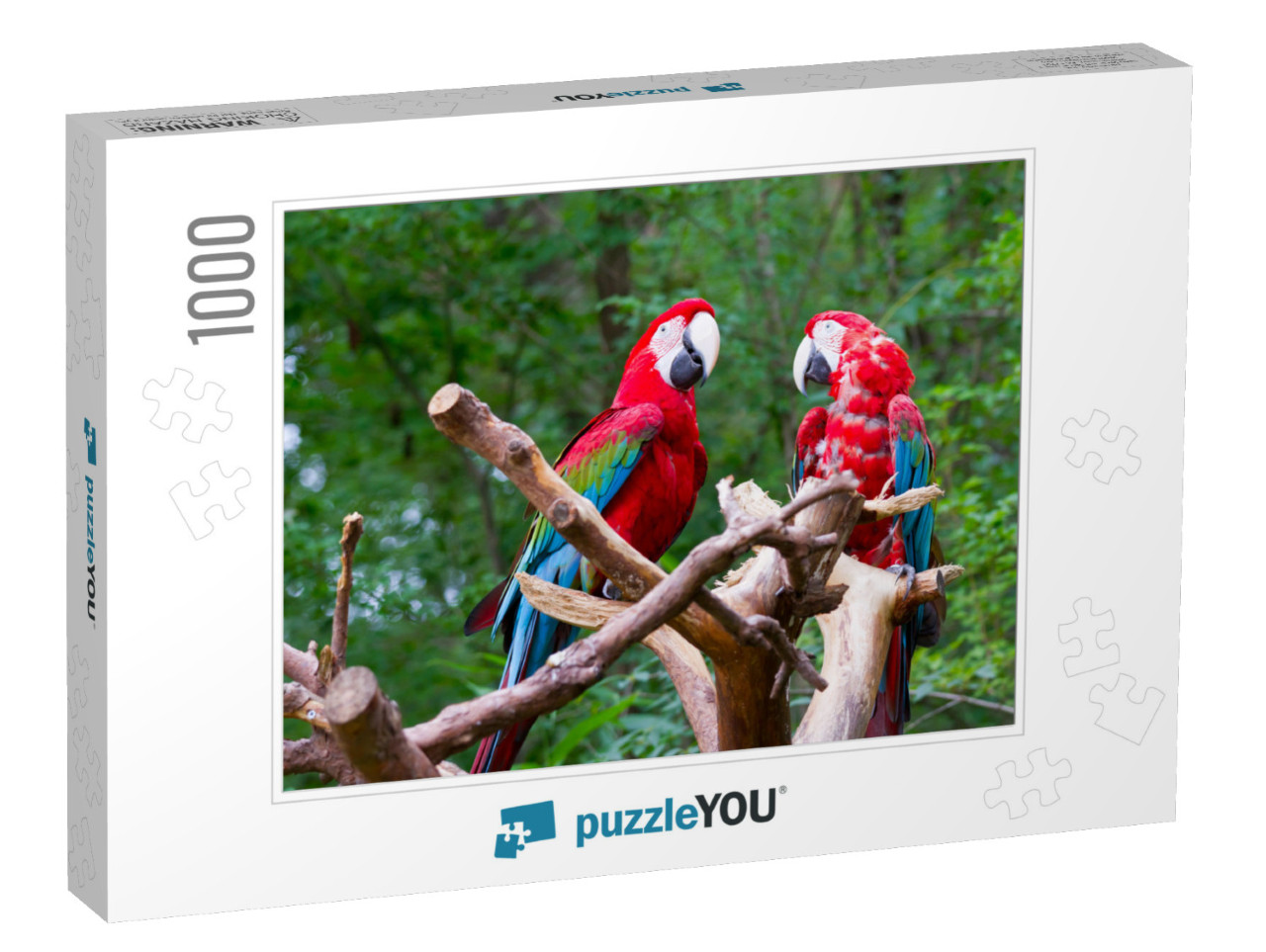 Pair of Parrot Bird Sitting on the Perch... Jigsaw Puzzle with 1000 pieces