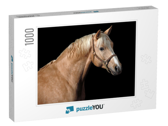 Palomino Horse... Jigsaw Puzzle with 1000 pieces