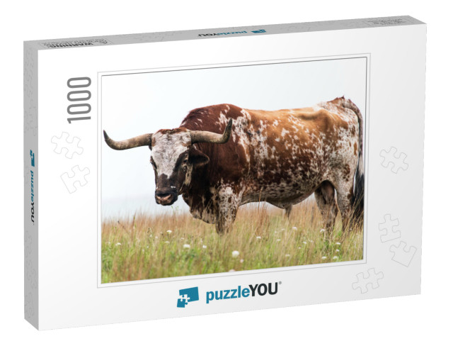 Texas Longhorn Bull At the Wichita Mountains National Wil... Jigsaw Puzzle with 1000 pieces