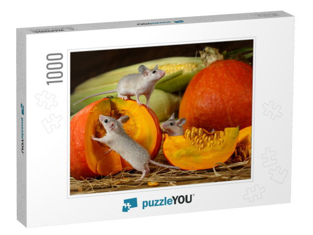 Close-Up Three Young Mice Climbs on Orange Pumpkin in the... Jigsaw Puzzle with 1000 pieces