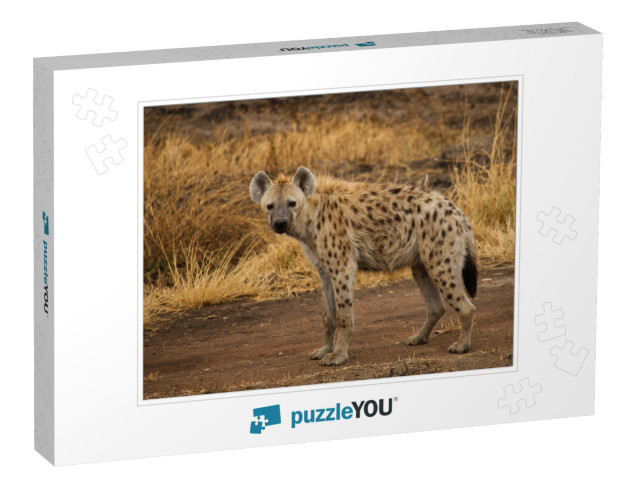 Spotted Hyena in the Savannah... Jigsaw Puzzle