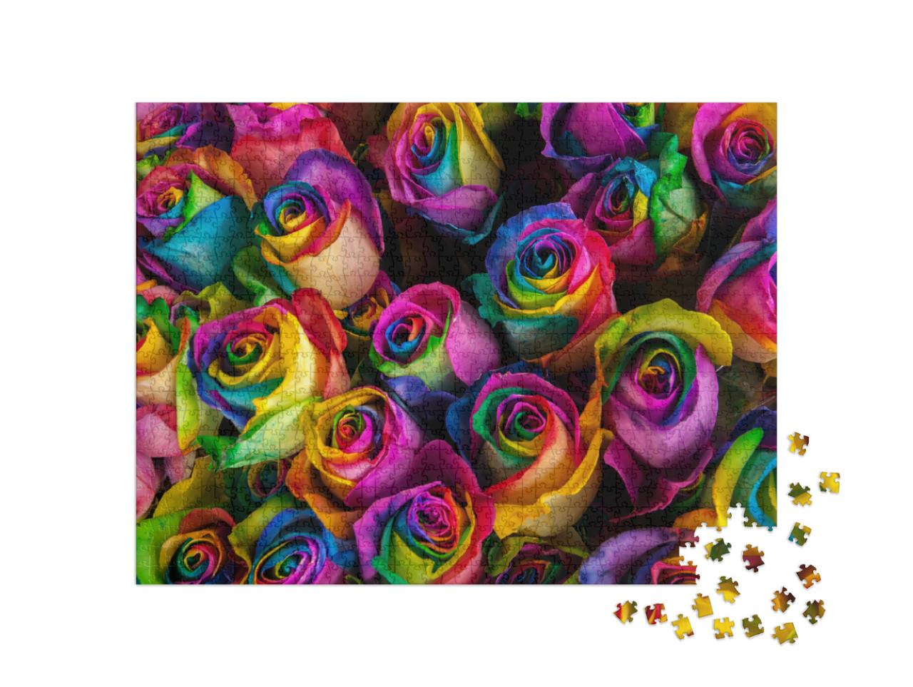 Colorful, Vibrant Rainbow Roses for Sale At an Outdoor Ma... Jigsaw Puzzle with 1000 pieces