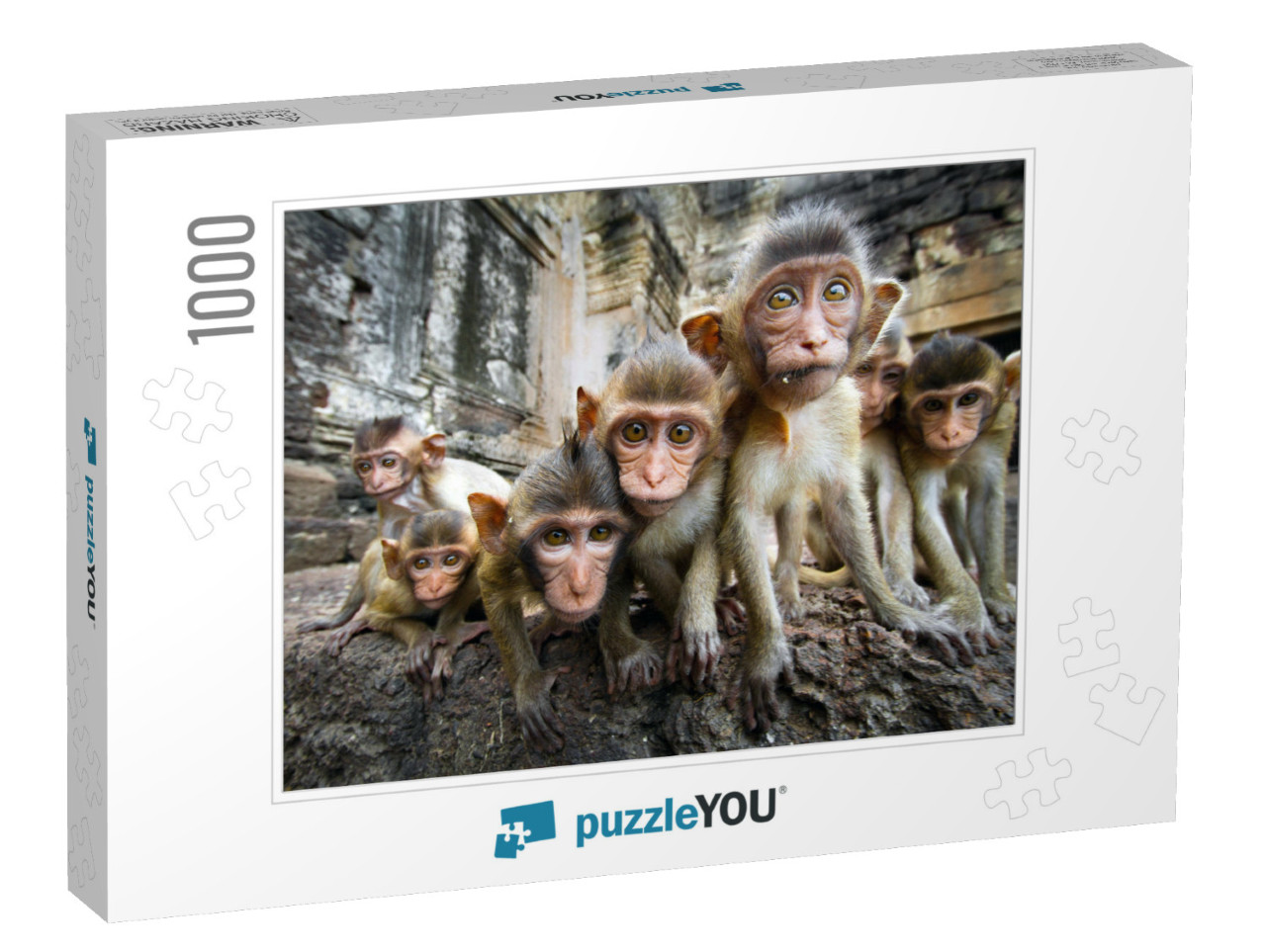 Baby Monkeys Are Curious, Lopburi, Thailand... Jigsaw Puzzle with 1000 pieces