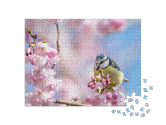 A Blue Tit Sits on a Beautiful Branch with Cherry Blossom... Jigsaw Puzzle with 1000 pieces