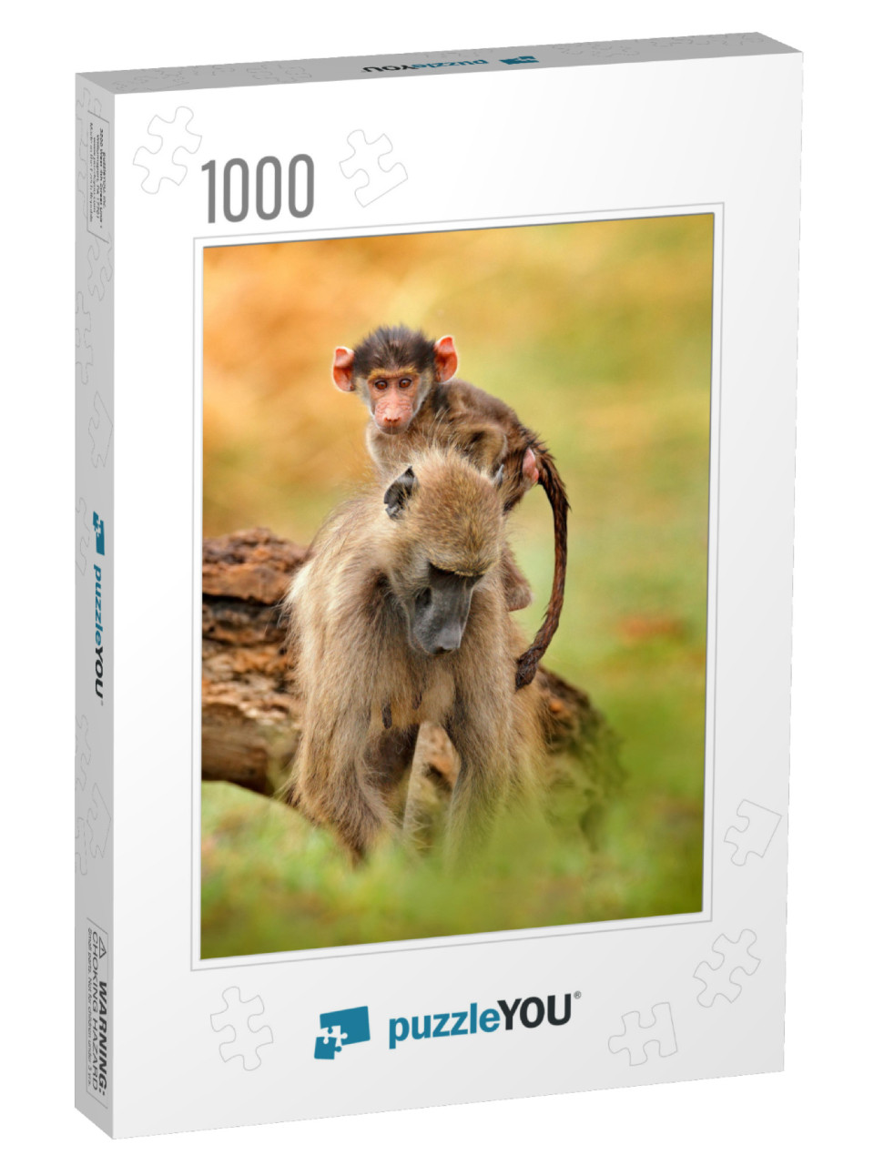 Monkey Young Cub. Chacma Baboon, Papio Ursinus, Monkey fr... Jigsaw Puzzle with 1000 pieces