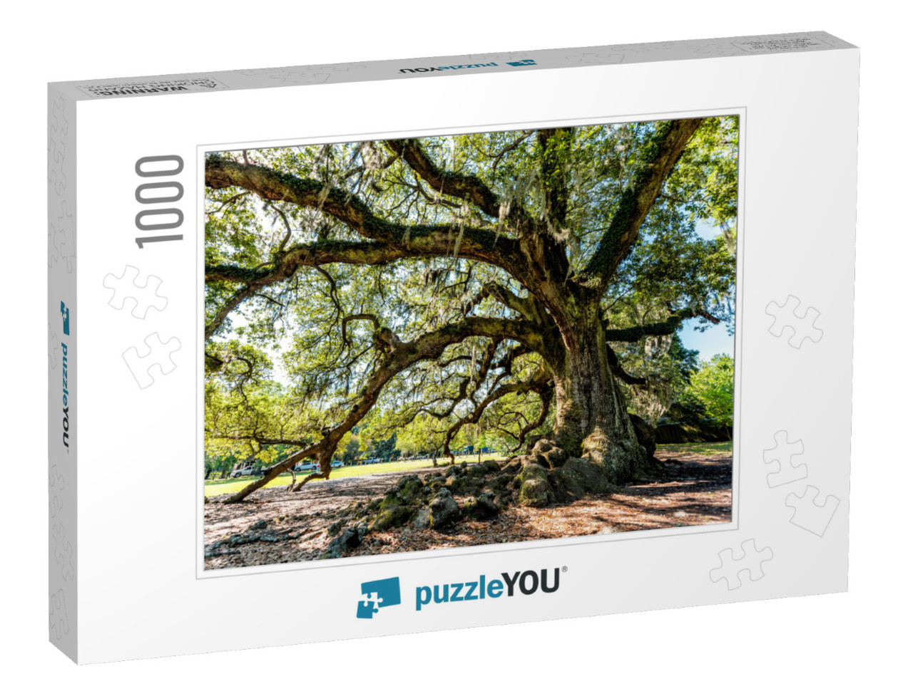 Oldest Southern Live Oak in New Orleans Audubon Park on S... Jigsaw Puzzle with 1000 pieces