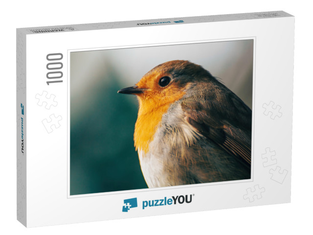 Portrait of European Robin. Beige & Green Bokeh Backgroun... Jigsaw Puzzle with 1000 pieces