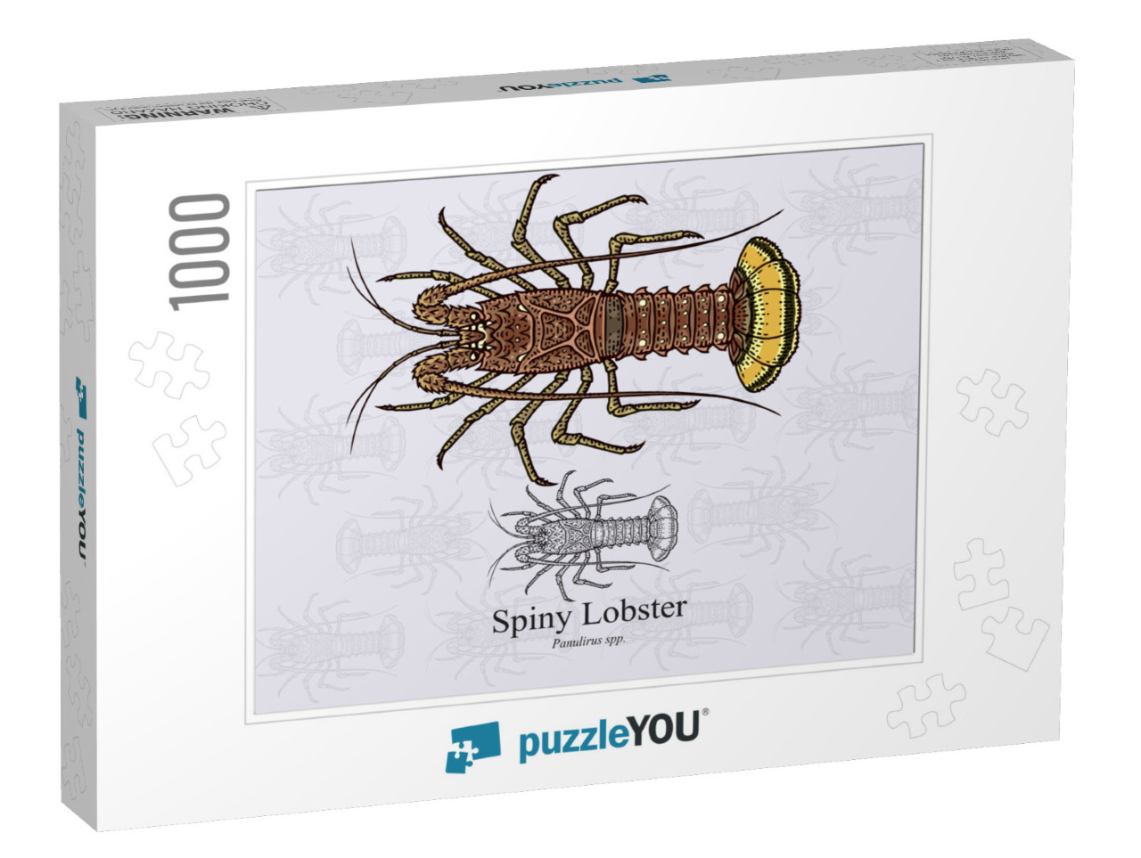 Spiny Lobster. Vector Illustration with Refined De... Jigsaw Puzzle with 1000 pieces