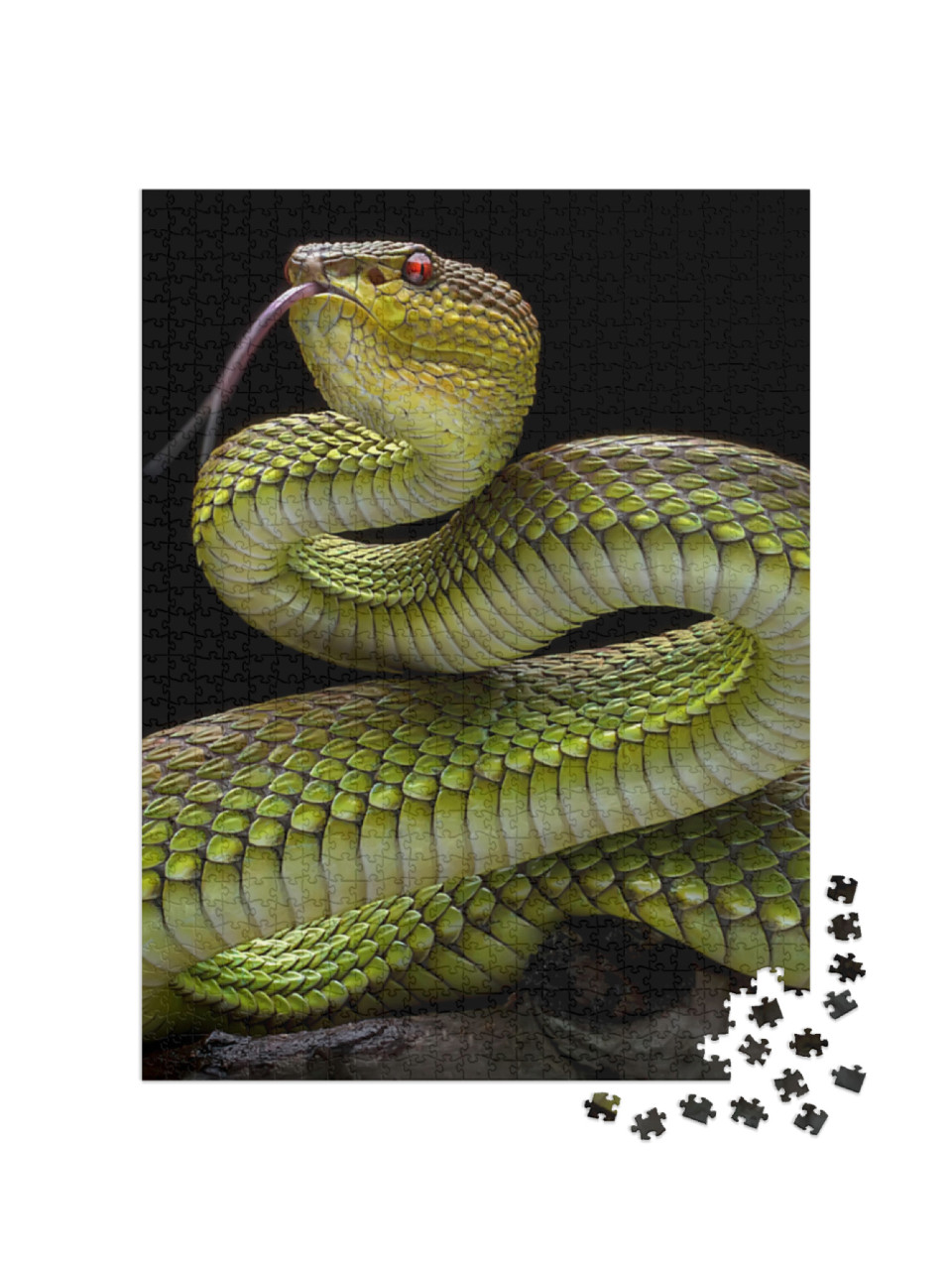 Green Goldy Skin Viper Snake 2001026 - Exotic Reptile Ani... Jigsaw Puzzle with 1000 pieces