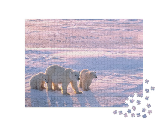 Polar Bear with Cubs in Canadian Arctic... Jigsaw Puzzle with 1000 pieces