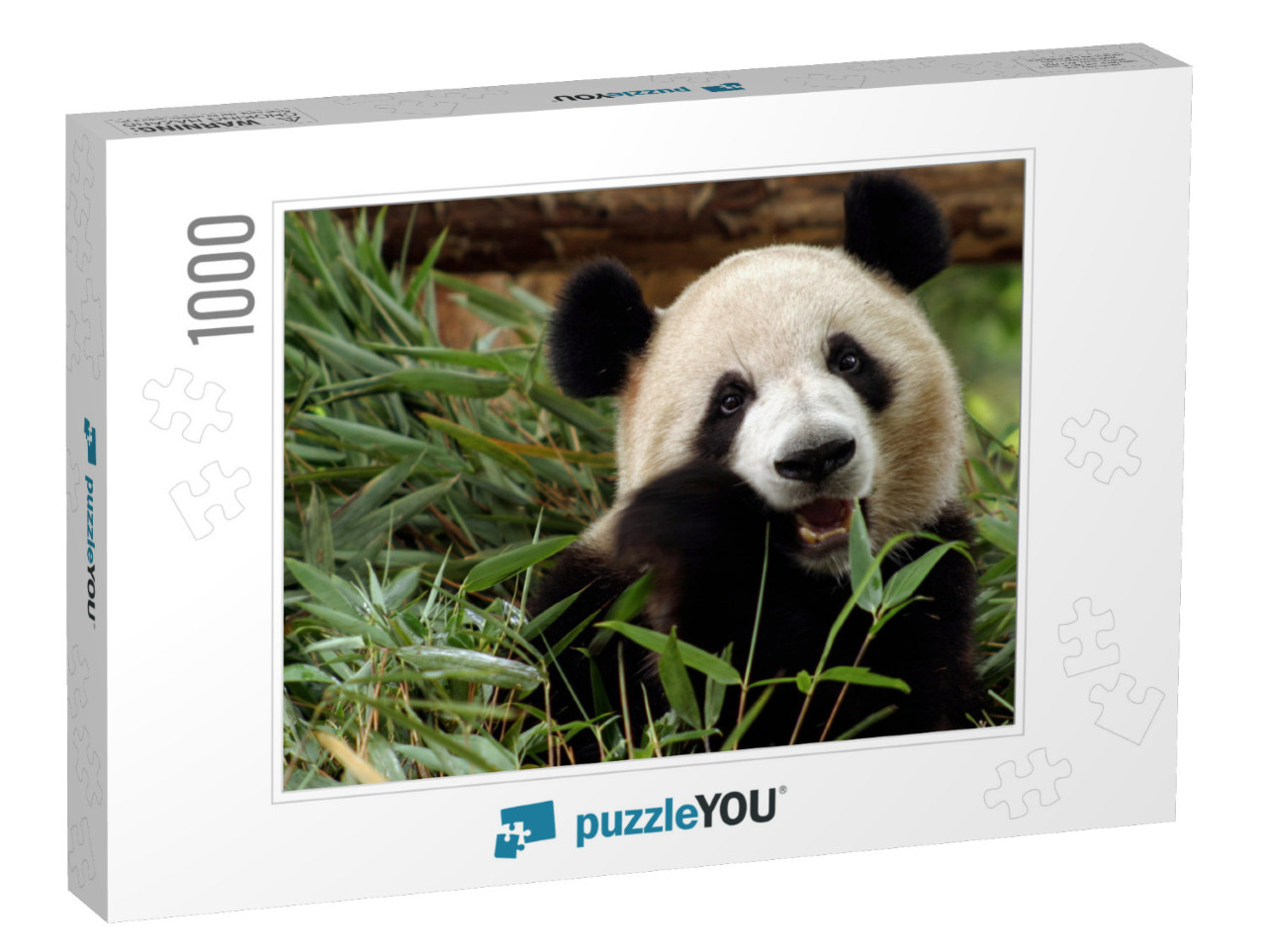 Photo of Giant Panda, the Giant Panda is Endangered Speci... Jigsaw Puzzle with 1000 pieces