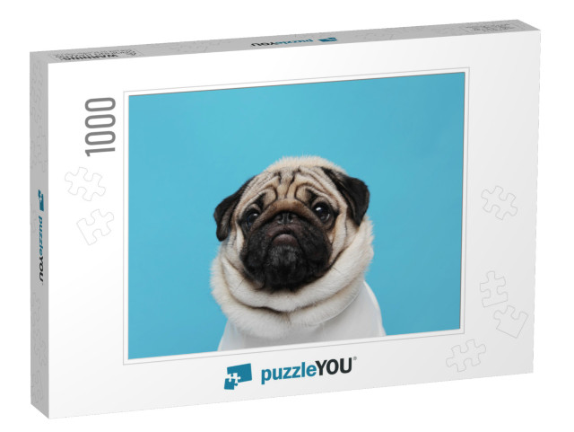 Adorable Dog Pug Breed Making Angry Face & Serious Face o... Jigsaw Puzzle with 1000 pieces