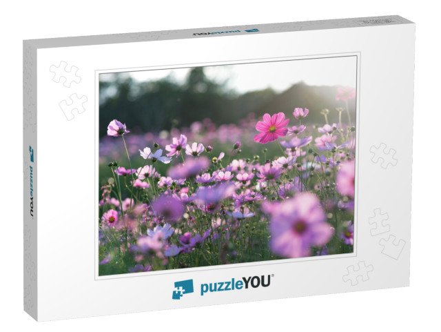 Field of Cosmos Flower... Jigsaw Puzzle