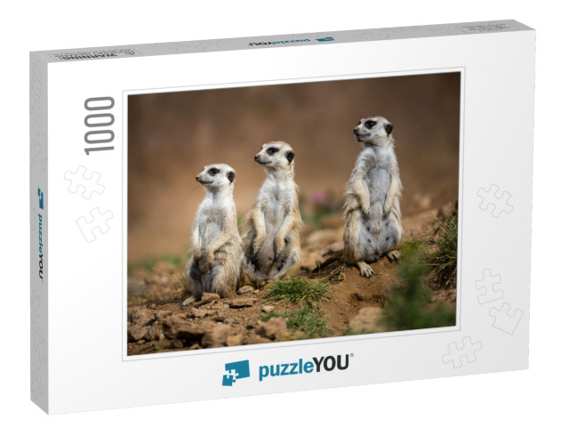 Watchful Meerkats Standing Guard... Jigsaw Puzzle with 1000 pieces