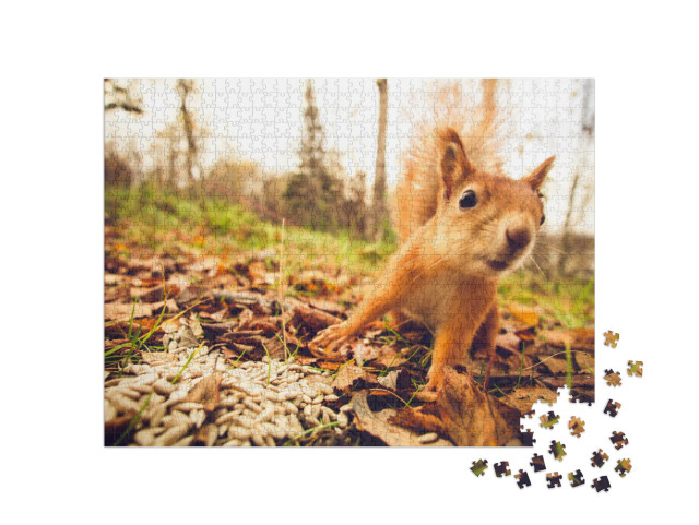 Squirrel Red Fur Funny Pets Autumn Forest on Background W... Jigsaw Puzzle with 1000 pieces