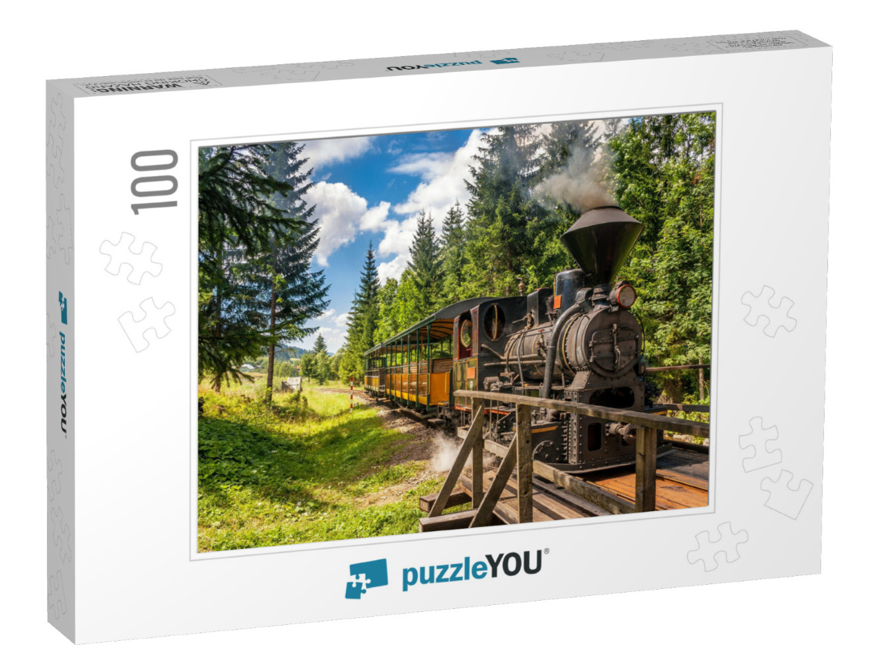 Steam Locomotive in Forest Railways from Village Vychylov... Jigsaw Puzzle with 100 pieces